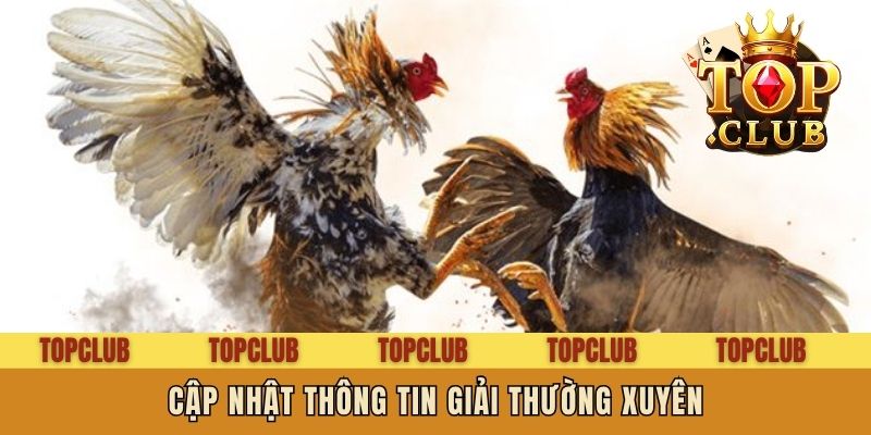 Cập nhật thông tin giải thường xuyên