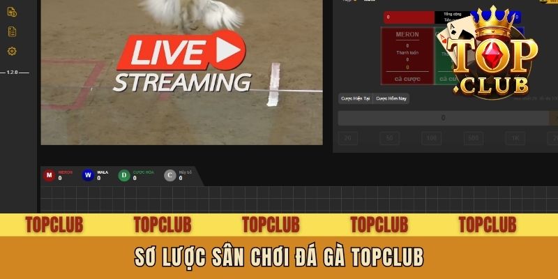Sơ lược sân chơi Đá gà Topclub