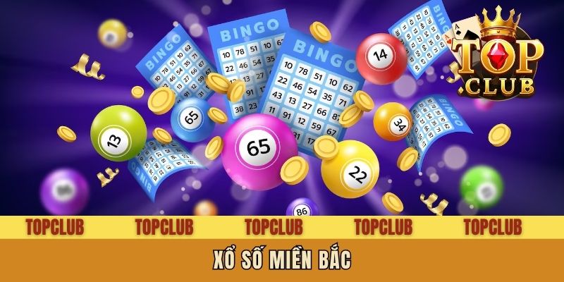 Xổ Số Miền Bắc - Tra Cứu Nhanh Chóng, Nhận Thưởng Liền Tay